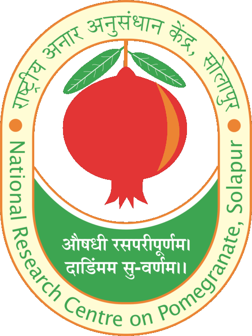 Ncrpomegranate
