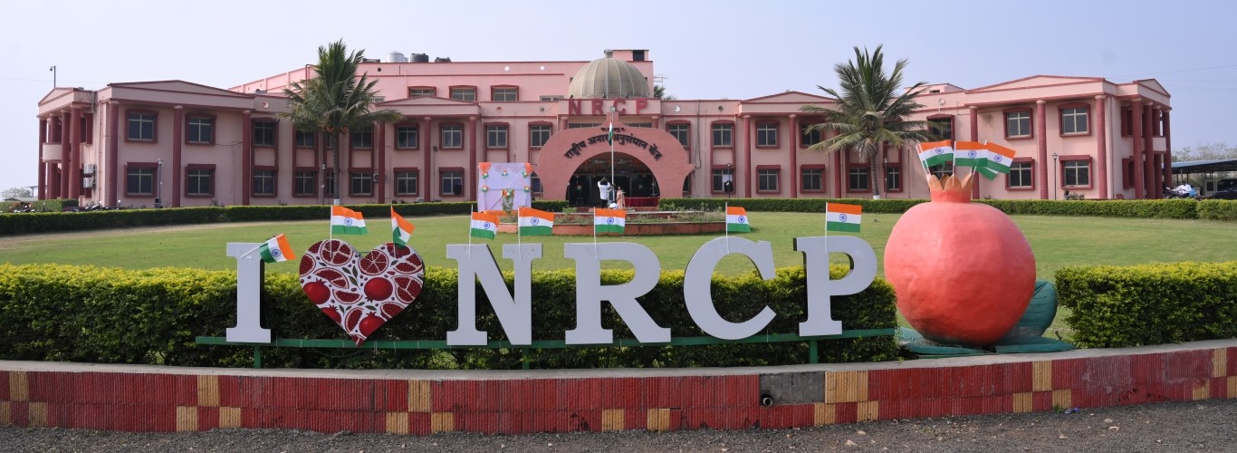 ICAR-NRCP, Solapur mail office building