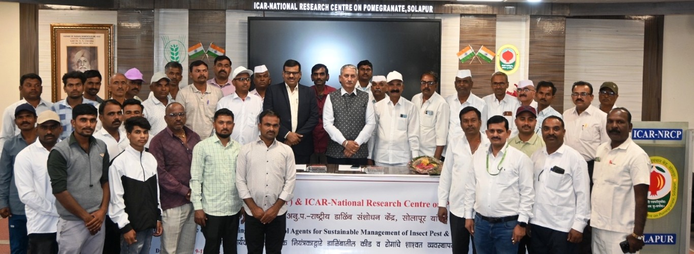 Three-days training programme on “Harnessing Biocontrol Agents for Sustainable Management of Insect Pests and Diseases of Pomegranate” was organized by ICAR–NRCP, Solapur sponsored by RKVY, Maharashtra from 9–11 February 2026