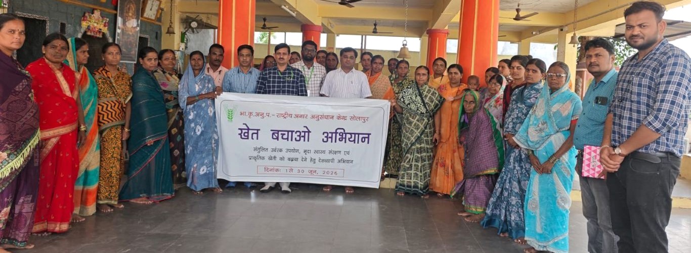 ICAR-NRCP, Solapur organized ‘Kheti Bachao Abhiyan’ programme at Tandulwadi Village, Taluka North Solapur, District Solapur on 09 June 2026