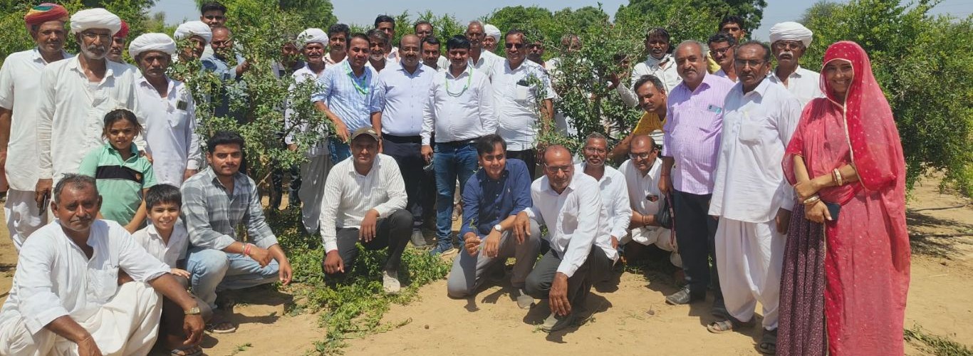 ICAR-NRCP organized three-days training programme on ‘Pomegranate’ at Kitnod, Balotra from 8th–10th, May 2026 under EXIM Bank-funded project