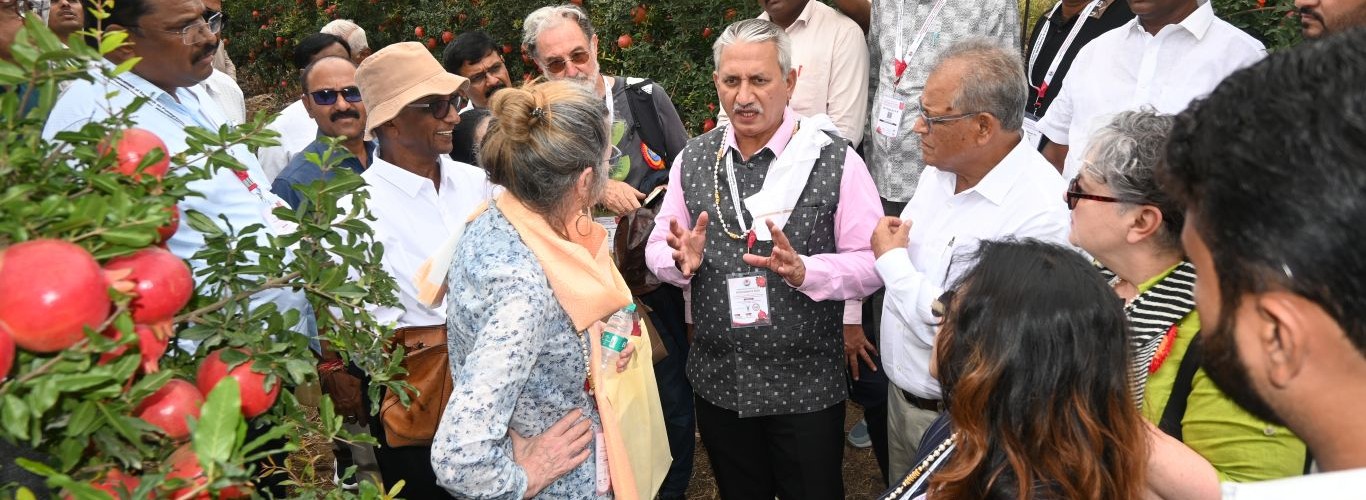 Interaction with the invited Indian and Foreign delegates of ICP-2026 by Dr. R. A. Marathe, Director, ICAR-NRCP, Solapur and President, SARP, Solapur during the exposure visit to pomegranate orchards of progressive farmers on 06 September 2026 at Pune, Maharashtra