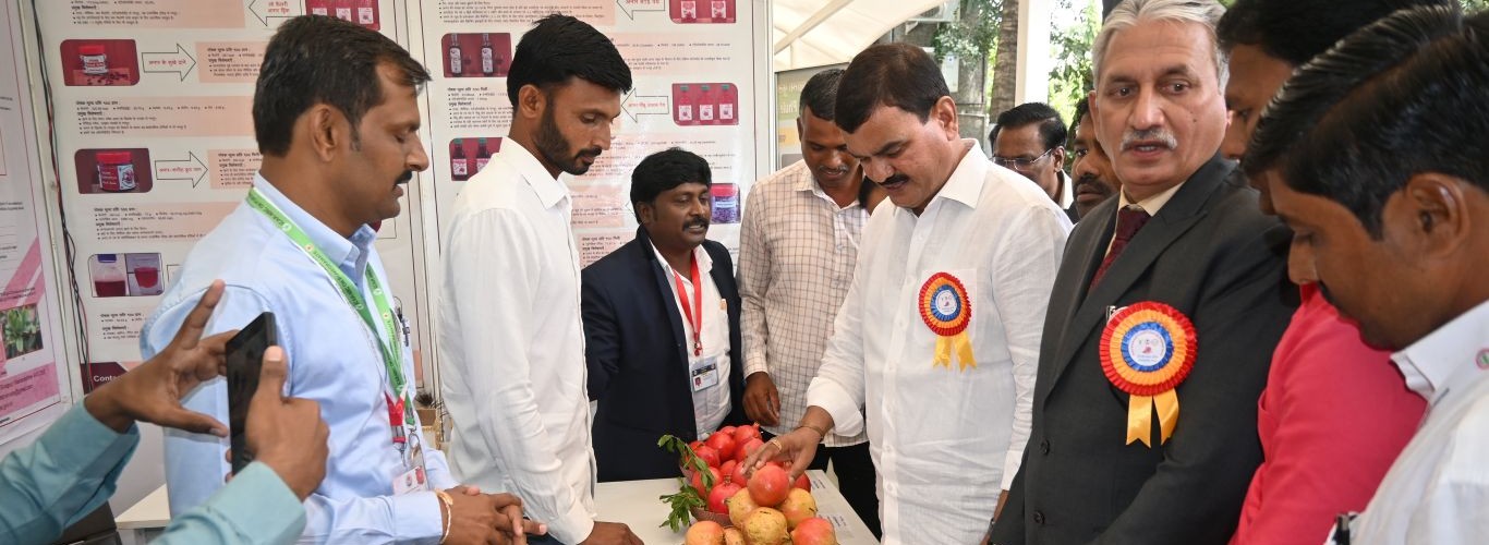 Inauguration of fruit stall of ICAR-NRCP, Solapur by Chief Guest Shri Dattatray Bharane, Hon’ble Minister of Agriculture, Government of Maharashtra along with Dr. R. A. Marathe, Director, ICAR-NRCP, Solapur and President, SARP, Solapur and other distinguished dignitaries during the International Conference on Pomegranate–2026 held from 06-08 September 2026 at YASHADA, Pune, Maharashtra